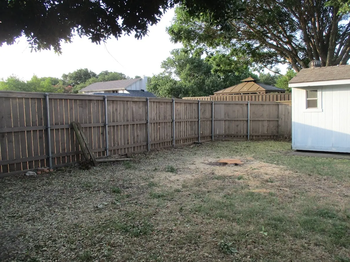 Cleared yard after professional tree removal in Lake Arthur