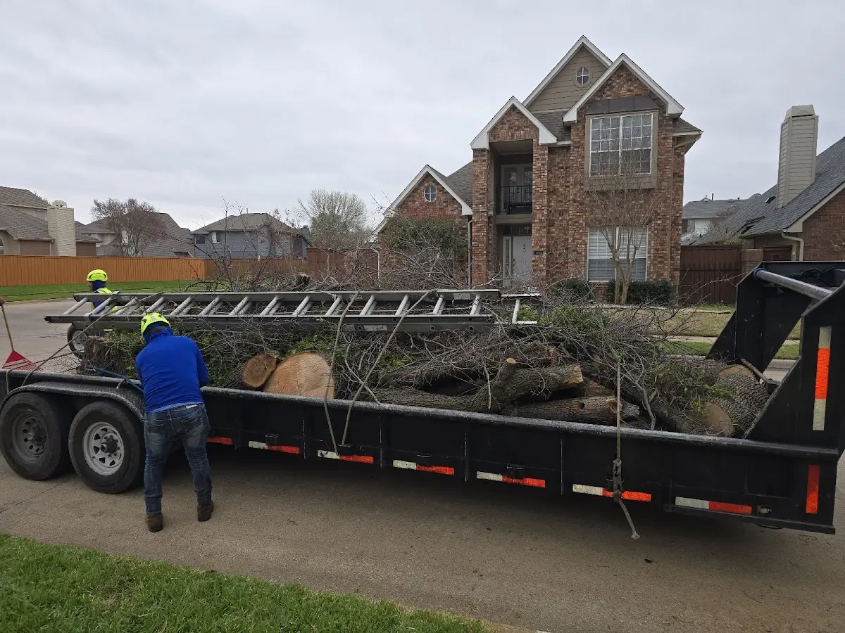 Expert Crown Reduction with proper safety equipment in Lake Arthur